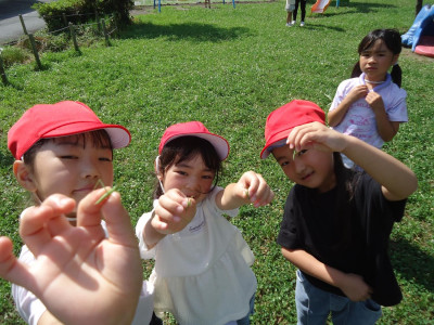 画像2